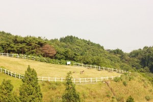 僕が8月11日（木・山の日）に、兵庫県の六甲山牧場に行ってきた話をさせていただきます。